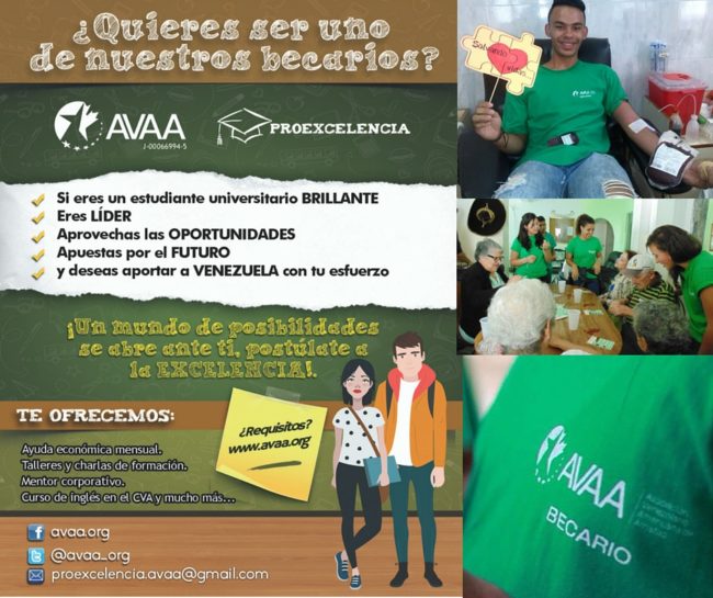 ¿Cómo ser un becario AVAA y no morir en el intento?